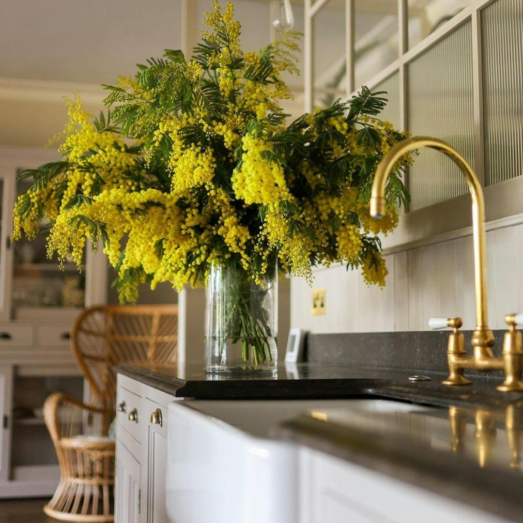 kitchen flowers